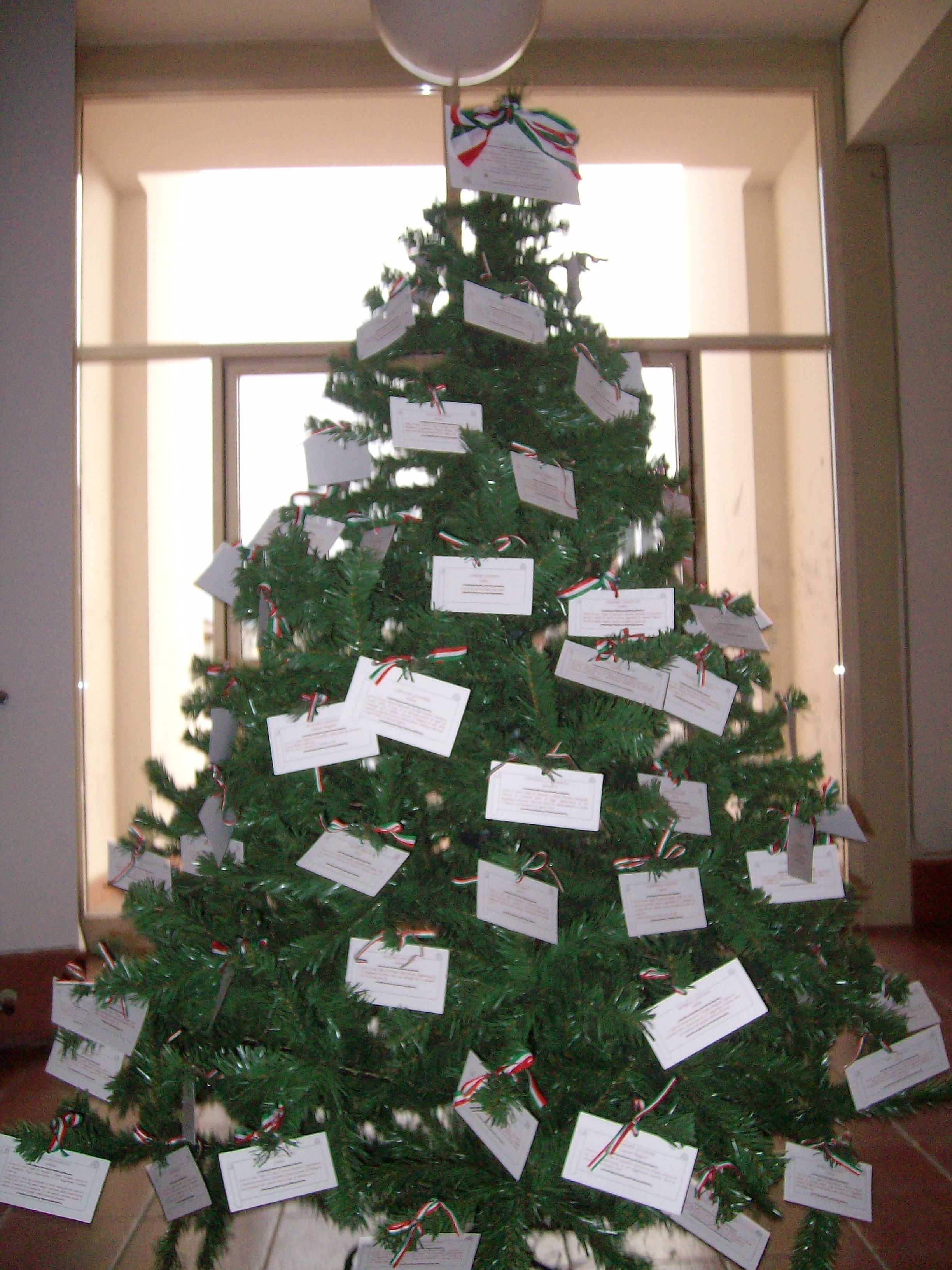 Immagini Di Un Albero Di Natale.Un Albero Di Natale Dedicato Ai Nostri Caduti Aquinocresce